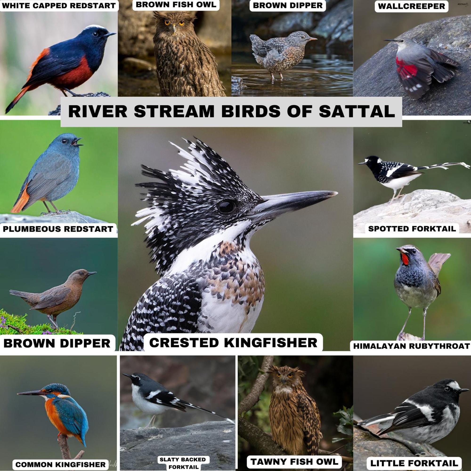 Incredible Birding Camp Διαμέρισμα Bhīm Tāl Εξωτερικό φωτογραφία