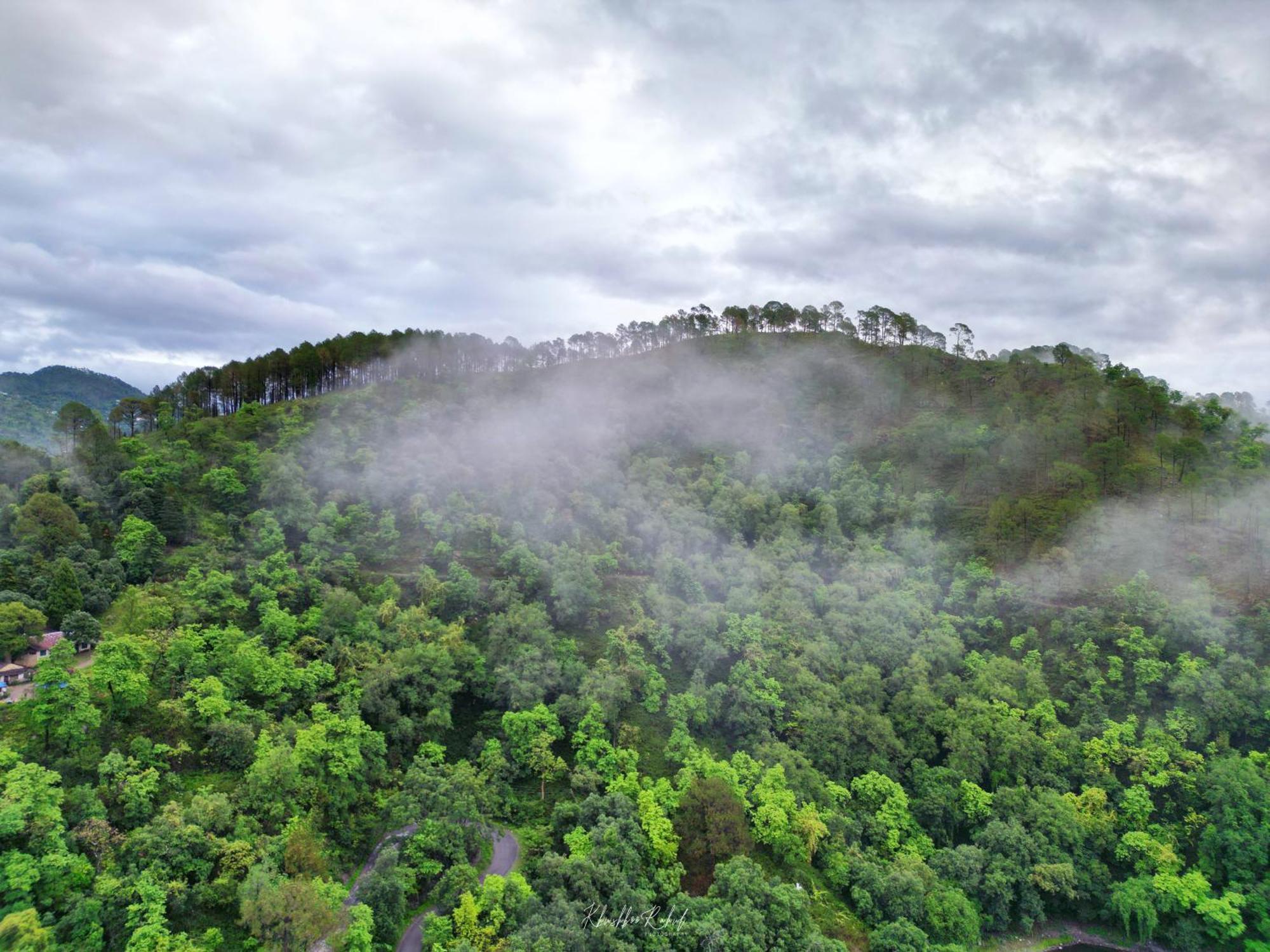 Incredible Birding Camp Διαμέρισμα Bhīm Tāl Εξωτερικό φωτογραφία